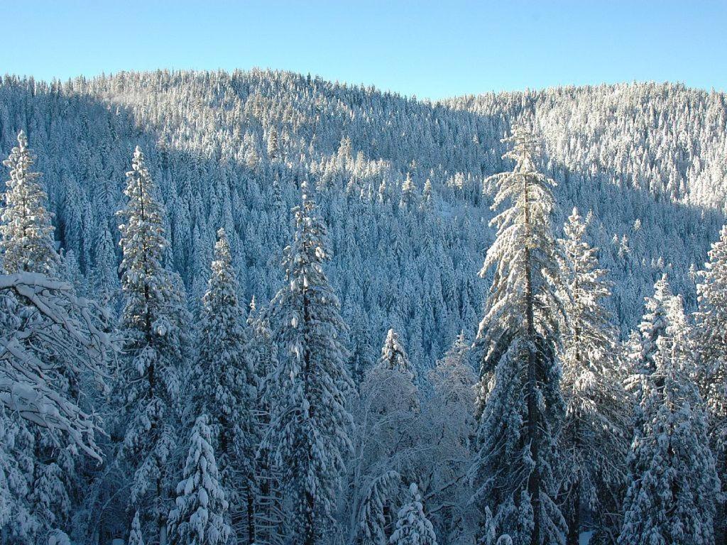 Birds Eye Vista Villa Yosemite West Ngoại thất bức ảnh